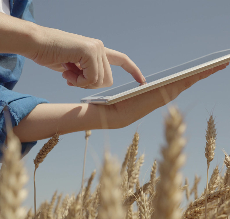 A person using a digital tablet in a field