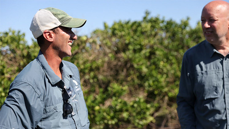 Two people talking in a field of orange trees