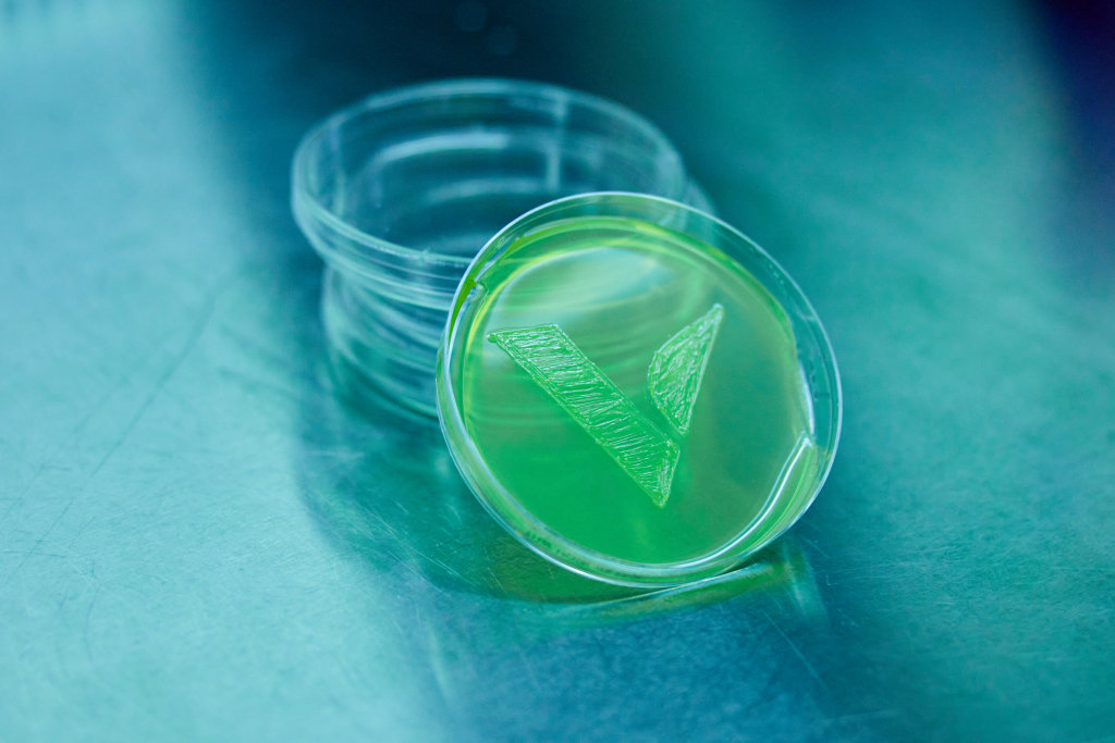 Two people talking in a field of orange trees