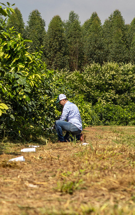 A person smiling in a field of orange trees