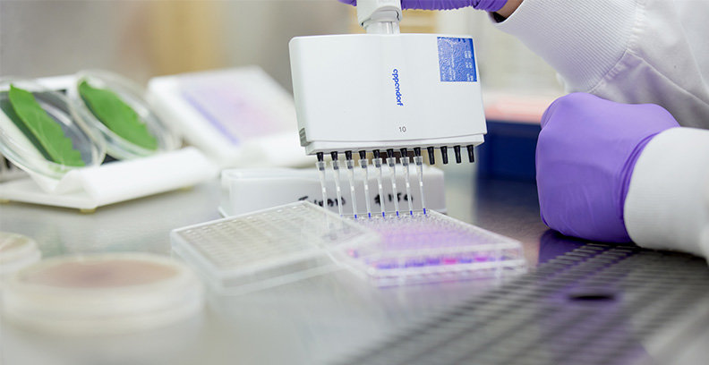 Close up of hand holding lab testing device